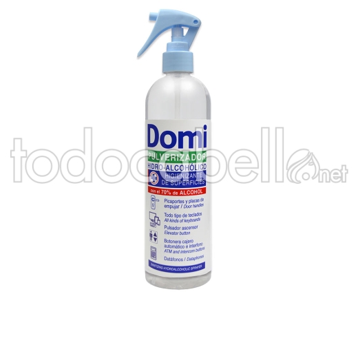 Anian Domi Hydroalkoholisches Desinfektionsmittel 70 % Oberflächen 400ml