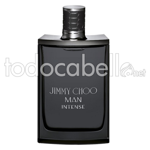 Jimmy Choo Man Intensive Edt Spray 100ml
