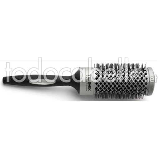 Pinsel Termix Entwicklung Basic.  43mm normales Haar