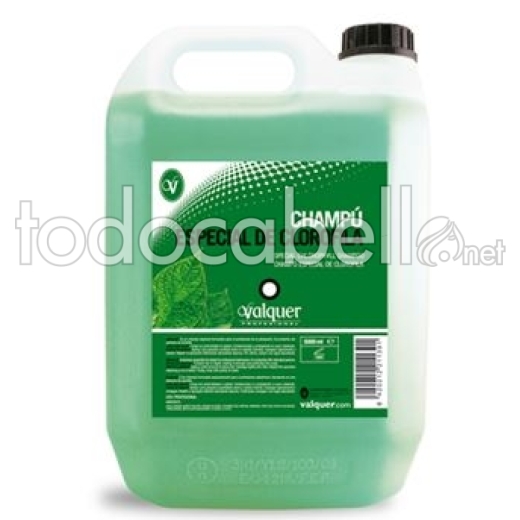 Valquer Garrafa 5L Chlorophyll Shampoo