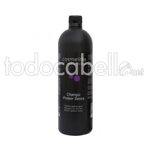 Dry Shampoo 1000ml Protein Cosmelitte