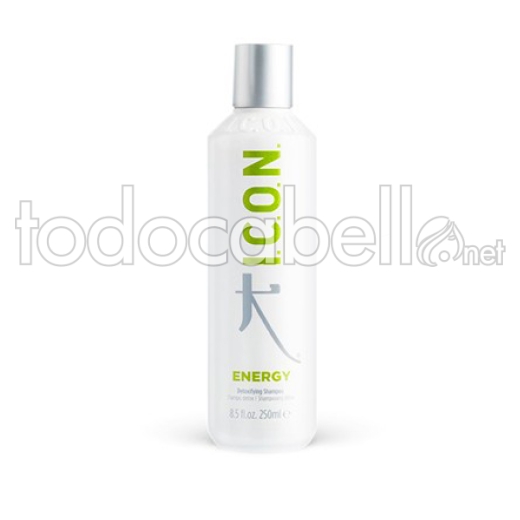 I.C.O.N. Energy Detox Shampoo 250ml