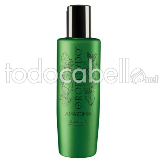 Revlon Orofluido Amazonia Shampoo für geschädigtes Haar 200ml