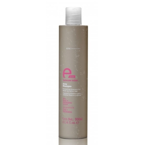 Eva Professionelle E-Line Grey Shampoo 300ml