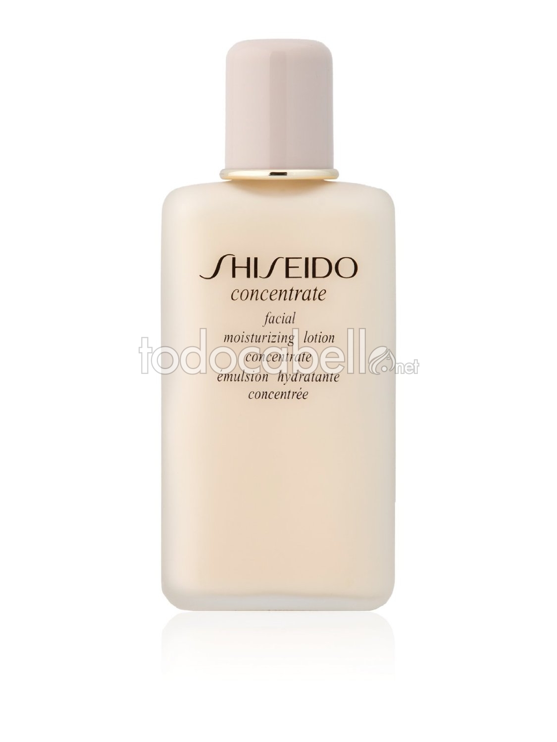 Shiseido Concentrate Moisturizing 100ml lotion